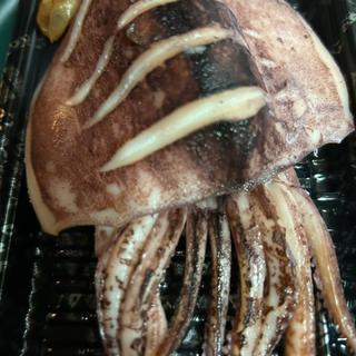 イカ焼き(うまざかな)