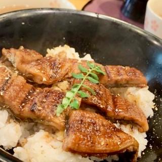 一力定食(一力うなぎ)