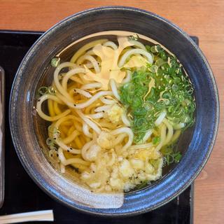 かけうどん(香の川製麺 羽曳野店)