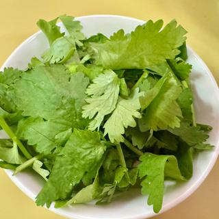 パクチー(龍門瀑 )