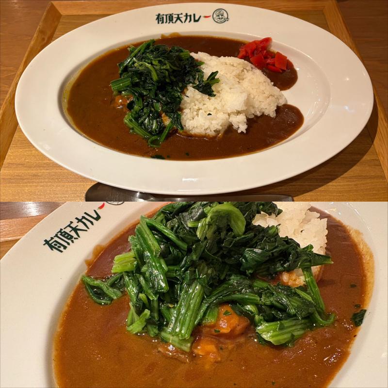 ほうれん草カレー(FLDK 本厚木)