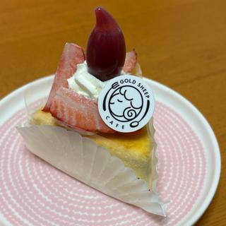 本日のケーキ チーズ(GOLD SHEEP CAFE(ゴールドシープカフェ))