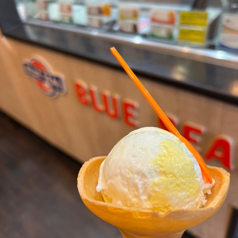 島パインココナッツ フラワーコーン(ブルーシール 大阪阿倍野店)