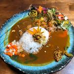 ボタニカリー×チキンあいがけ(ボタニカリー)