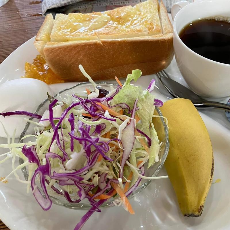 モーニング(ニュー ブラウン)