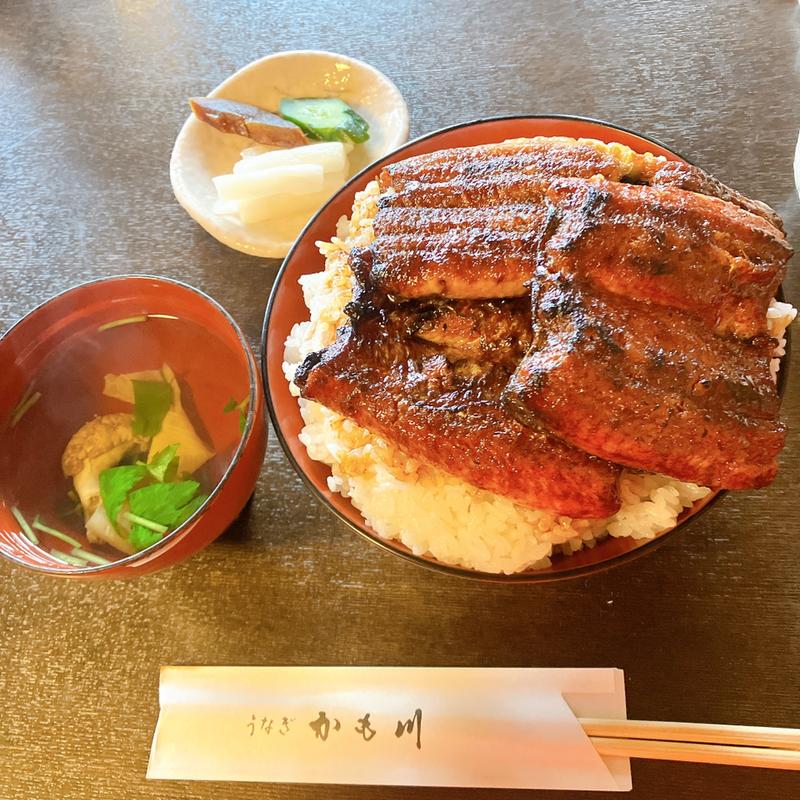 上うなぎ丼(かも川)