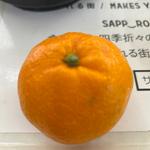 蔵出ししもつみかん