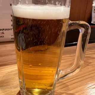生ビール(炉ばた焼 由良)