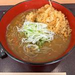 カレー蕎麦大(十割そば 二代目長助岡崎美合店)