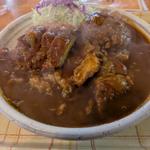 チキンカツとハンバーグの2品盛り合わせカレー