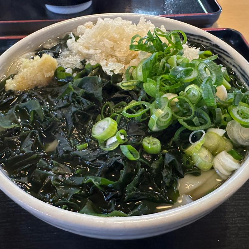 わかめうどん 大(うまじ家 豊浜店 （うまじや）)