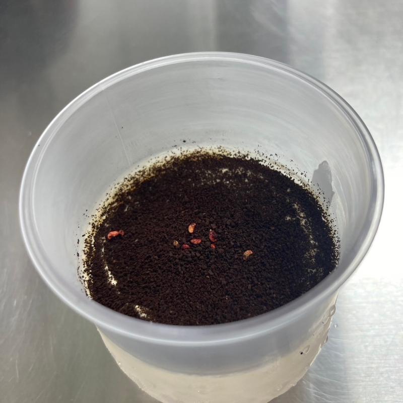 ラズベリーティラミス(ティラミス専門店Del Tiramisu軽井沢)