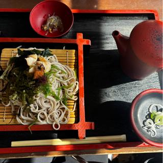 磯ざるそば(魚見亭)