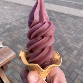 巨峰ソフト
