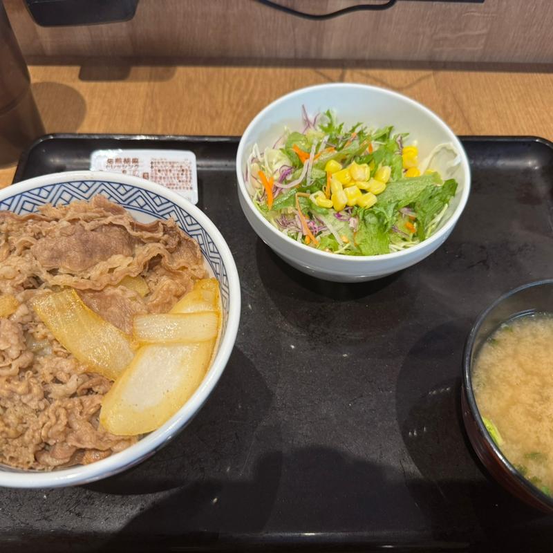 牛丼　サラダセット(吉野家 初台店)