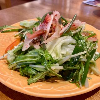 サラダバー(ステーキハウス ブロンコビリー北綾瀬店)