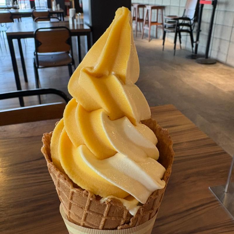 マンゴーミックスソフトクリーム(レインフォレストカフェ こどものくに店 )