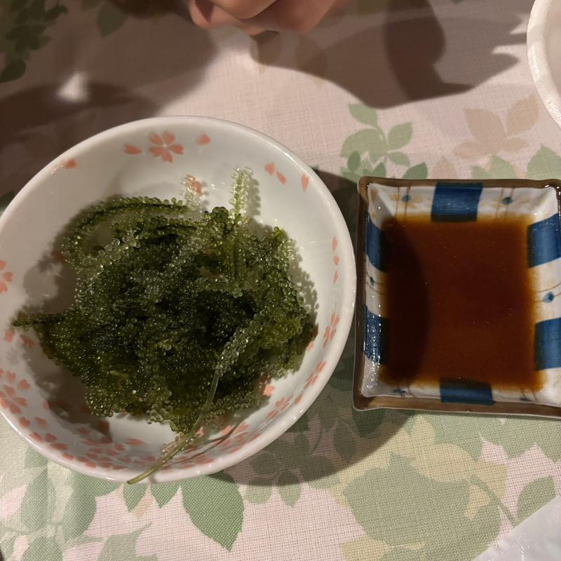 海ぶどう(くんくりやーがま)