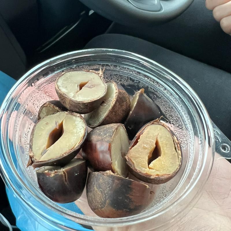 蒸し栗(阿仁スキー場　レストラン )