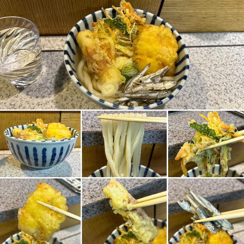 うどん　塩とり天　野菜かきあげ　ちくわ天(デイリーチコ)