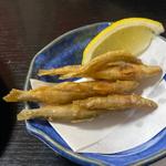 今日のお通し