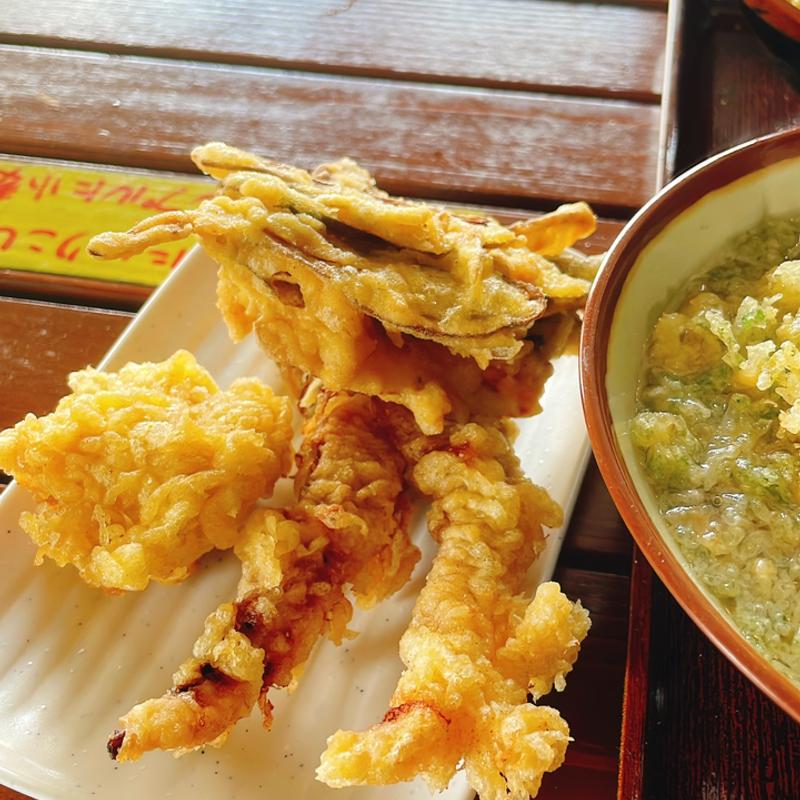 (うどん山口七尾)