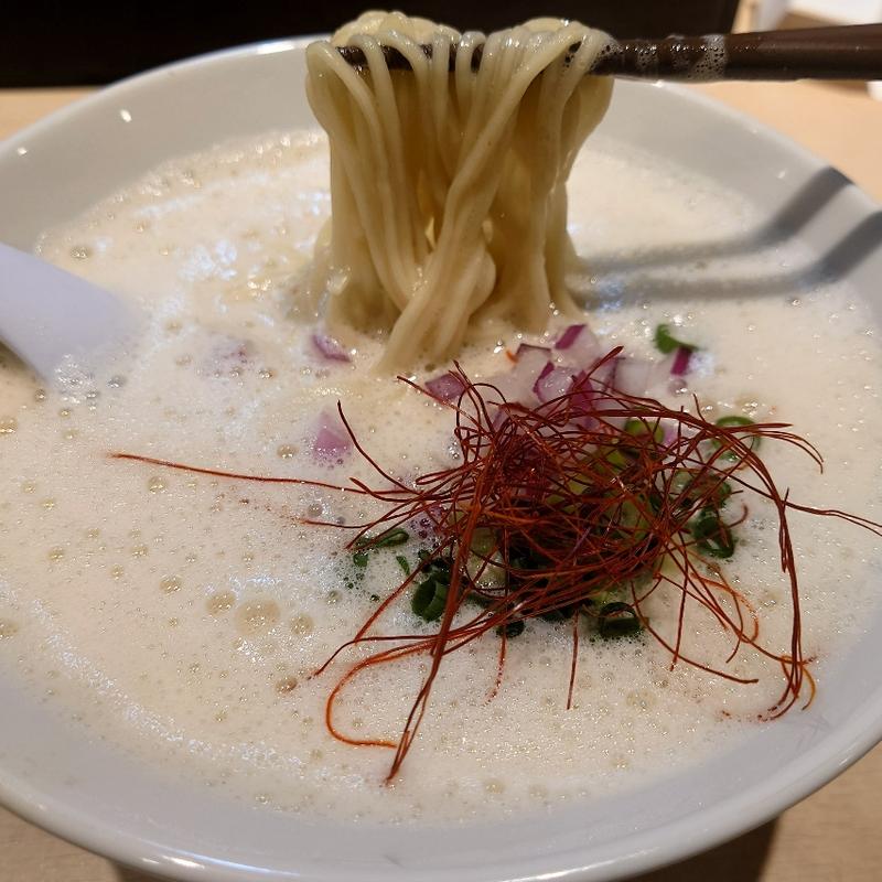 特製塩ラーメン(鶏白湯らーめん叶)