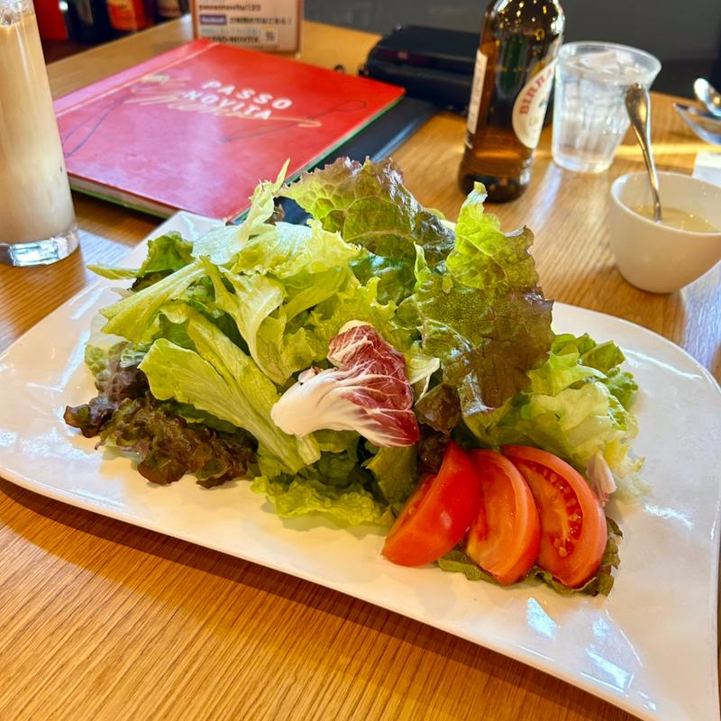 グリーンサラダL(パッソ ノヴィータ （Passo novita）)