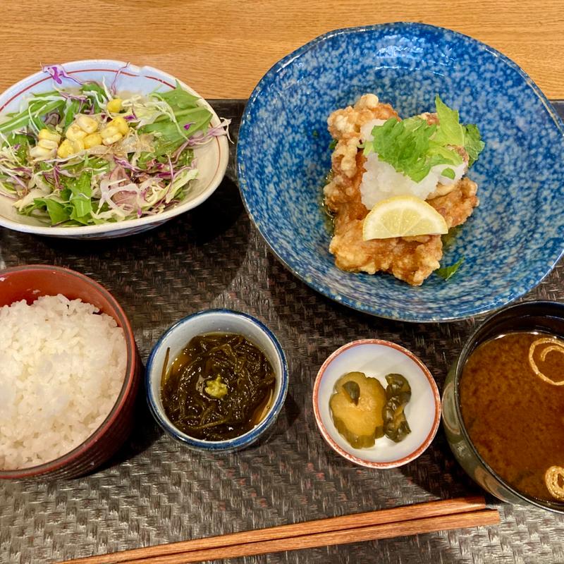 みぞれ唐揚げ膳(名古屋コーチン 一鳳にしき)