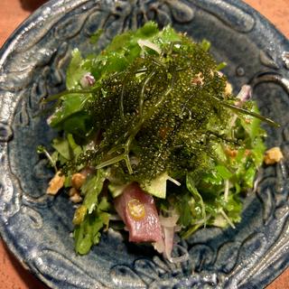 鮪とパクチーと青唐辛子のサラダ(食堂ペリカノ)
