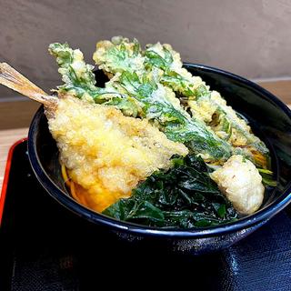 ホウボウ天とホタテ天・春菊天そば(名代 箱根そば 狛江店)