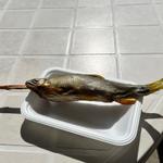 子持ち鮎の塩焼き