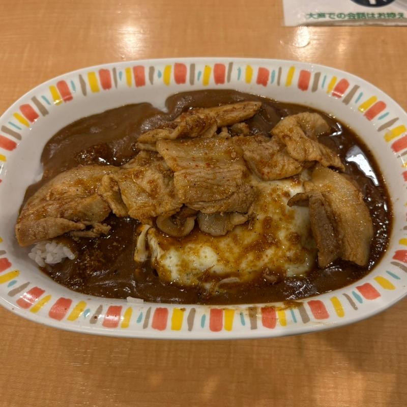 スタミナカレー焼玉子入り(スタミナカレーの店 バーグ 吉野町店)