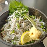 釜揚げしらす丼