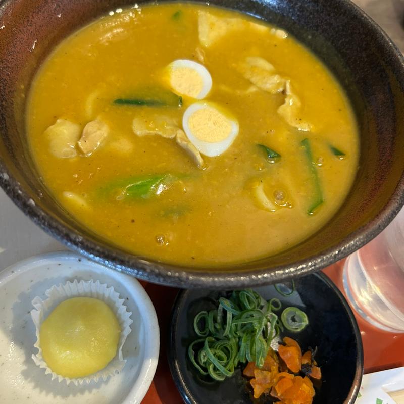 豊橋カレーうどん(勢川 新吉店)