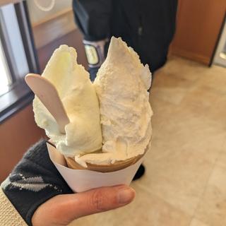 ダブル(奥中山高原 ジェラートハウス 雪あかり)