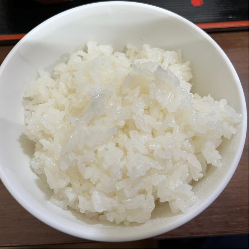 めし(並)(半田屋 吉成店 )