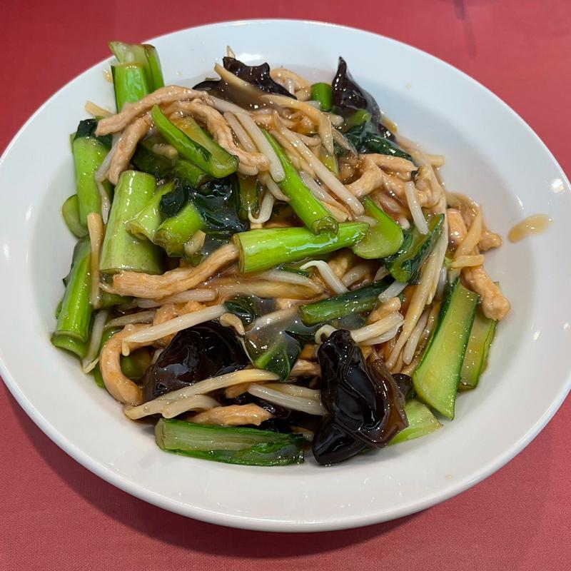 細切り豚肉入り焼きそば(大陸)