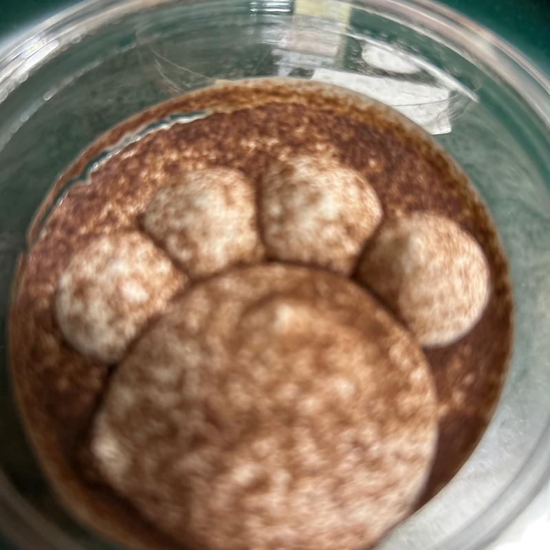 肉球ティにゃミス(セブンイレブン 札幌北１条西５丁目店)