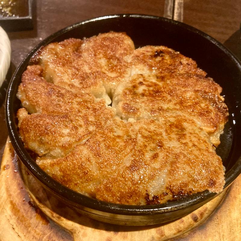 博多鉄板餃子(九州 熱中屋 御茶ノ水 LIVE)