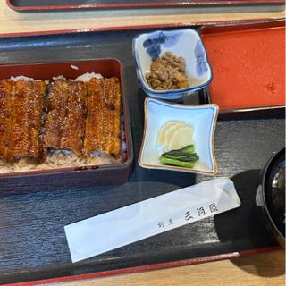 うな重竹