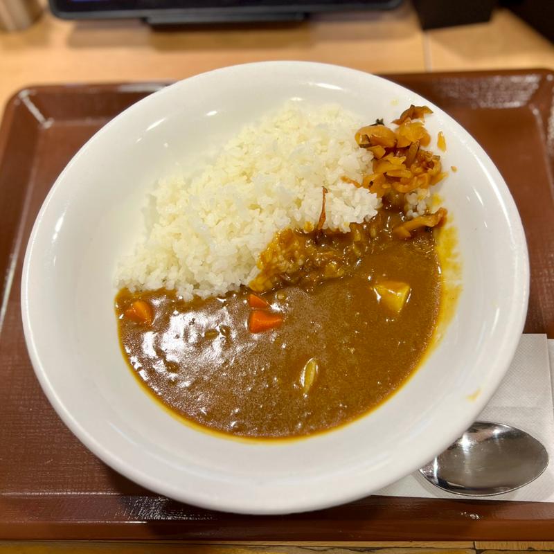 カレー/並盛(すき家 札幌ポールタウン店)