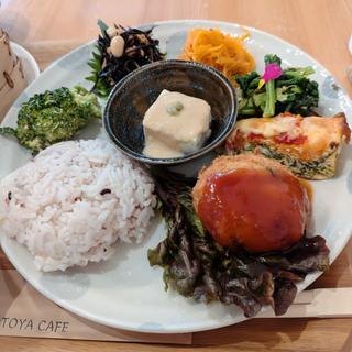 日替わりランチプレート(KOTOYA CAFE)
