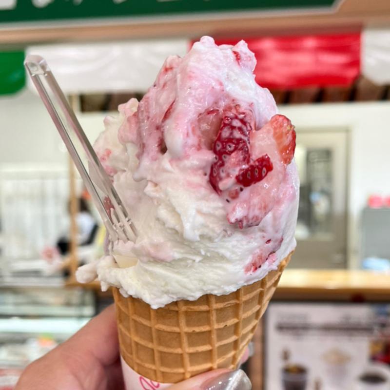 おとめジェラート(アイス工房はがジェラート )