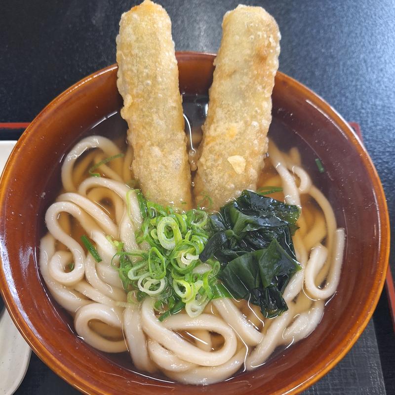 ごぼう天うどん(麺和田や 飯塚店)