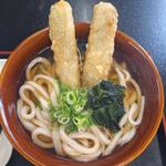 ごぼう天うどん