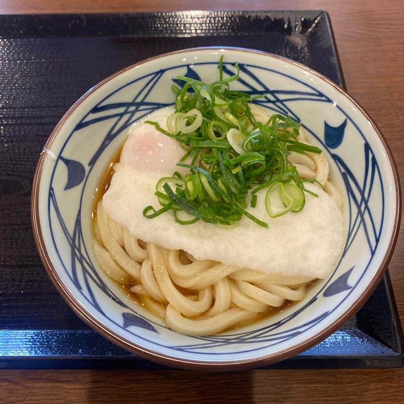 とろ玉うどん(丸亀製麺津島)