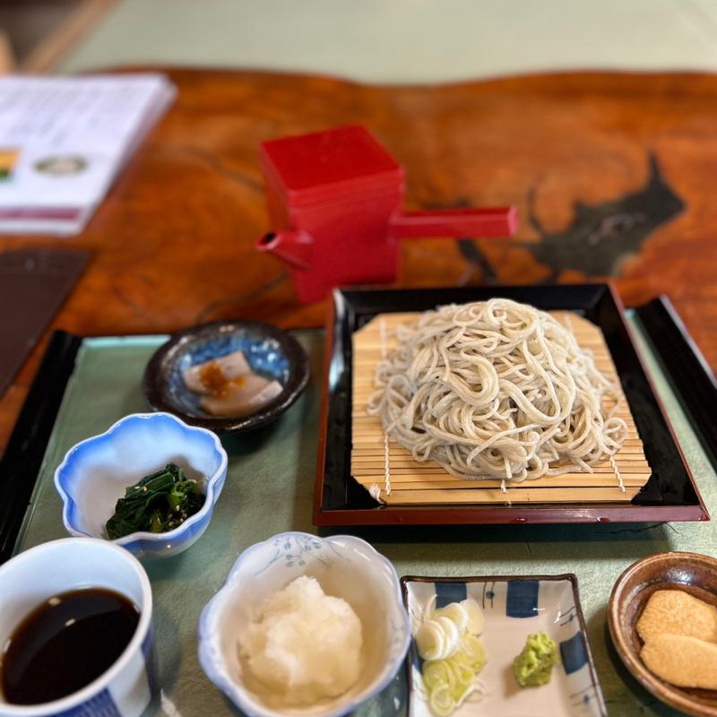 おろしそば大盛(樹の里 )