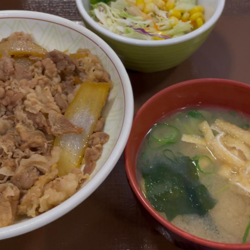 牛丼中盛+サラダセット(すき家 水海道店 )