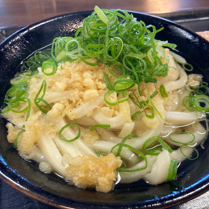 かけうどん　2玉(中西うどん （麺匠なかにし）)